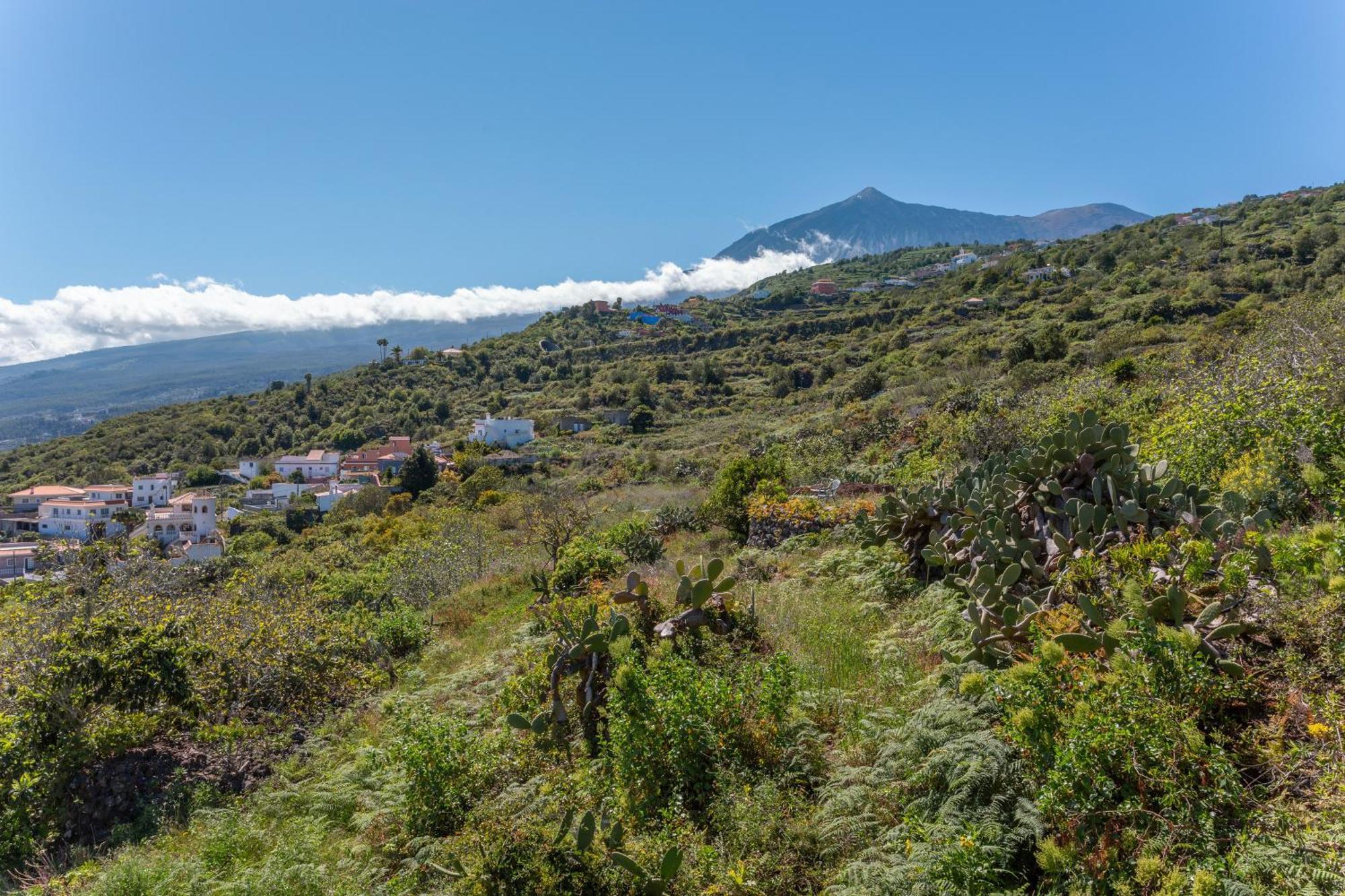 Las Casas Del Bisa Garachico  Kültér fotó
